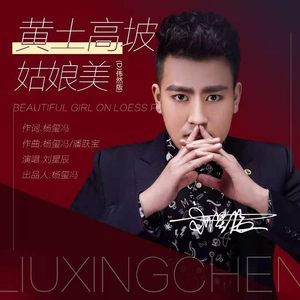 黄土高坡姑娘美 (DJ版)