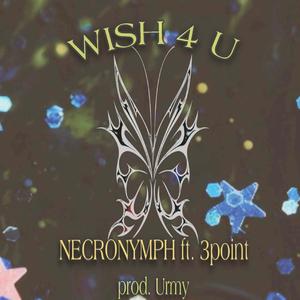 WISH 4 U (feat. 3point)