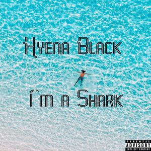 I'm a Shark