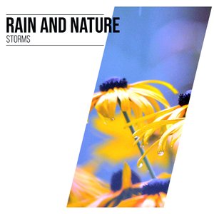 Rain Sound: Snooze Nap Time