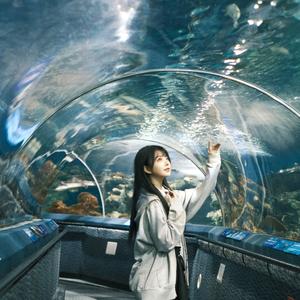 你的名字是世界瞒着我最大的事情