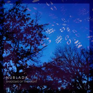 Shadows Of The Night