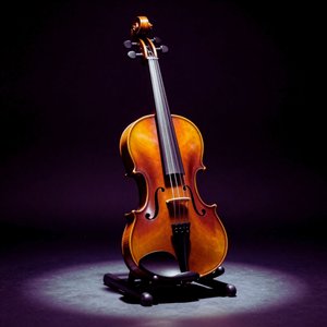 Violin Over Empty Horizons