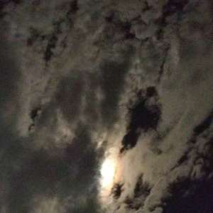 Kodak Black-没得问题（5Tank remix）