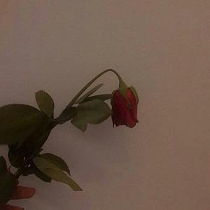 范玮琪-最重要的决定 Remix （Prod by IA）（Majin remix）