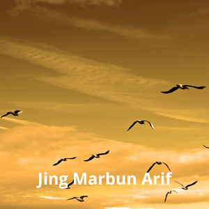 Vesen Stormwrought Paladin