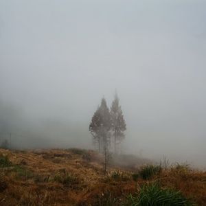 被你窒息时的心理活动