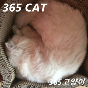 노트북 위는 따뜻해 (Sped Up)