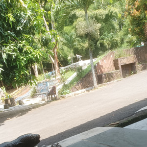 Sajadah Merah (Remastered 2024)