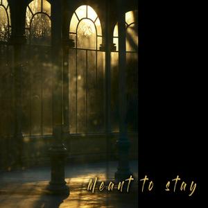 Meant to stay