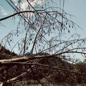 希望你不要像我一样（Part I）