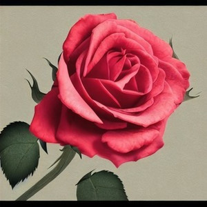 骗人的嘴 (DJ版片段)