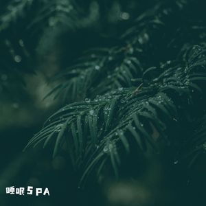 流水虫鸣大自然纯音乐