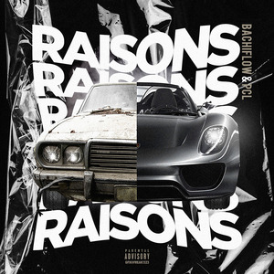 Raisons