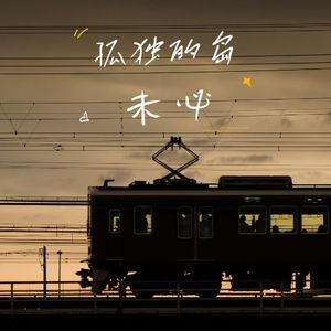 未必（孤独的岛）| DJ小辞版