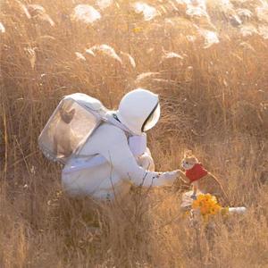 今天我只想你了一次