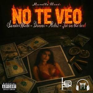NO TE VEO (feat. DONNI)
