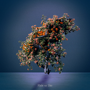 Ride or Die (feat. 엄션)