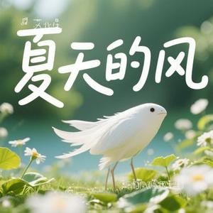 夏天的风 (Cover 温岚)