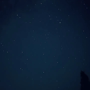 抗争