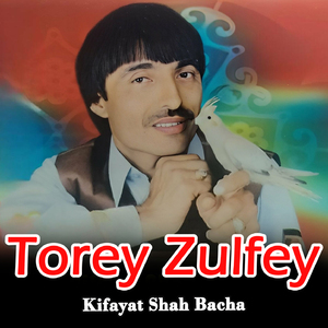 Torey Zulfey
