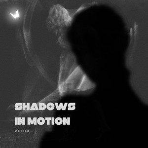 Shadows in Motion