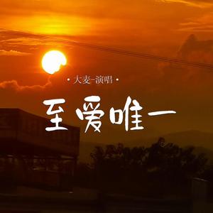 至爱唯一 (伴奏)