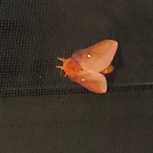 Too Numb (feat. Ever)