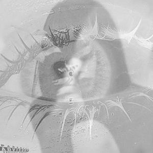 young & dumb / how long is forever? (demo)