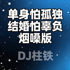单身怕孤独 结婚怕辜负 (烟嗓版)