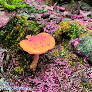 How Are You Still Sane?