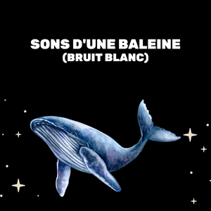 Baleine