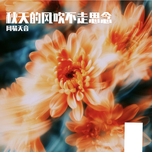 秋天的风吹不走思念-整曲