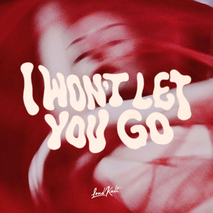 I WON'T LET YOU GO