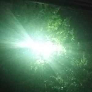 雨天里的季节性想念