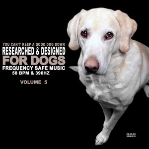 The Power of Paws-itivity