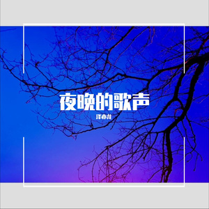 夜晚的歌声