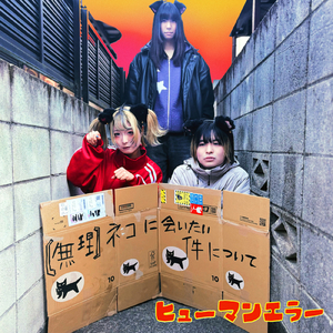 【無理】ネコに会いたい件について