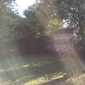 Playing for the Crickets on a Saturday