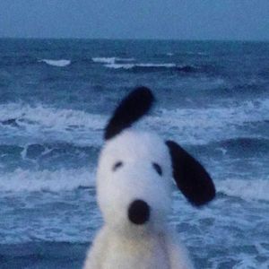 И не то дело