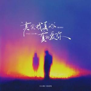 其实我真的真的爱你  (feat.王小帅)