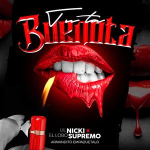 Tu Ta Buenota (feat. El Lobo Supremo) (Armandito Empaquetalo Remix)