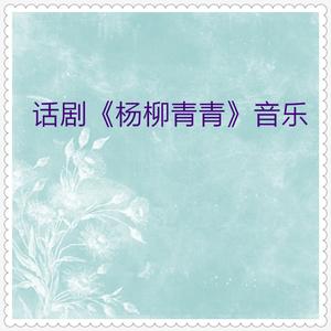 杨柳青青 (小提琴演奏曲)