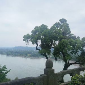 赴劫主题曲
