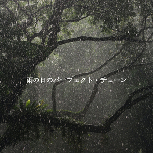 Sensational Four Seasons