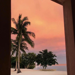 白山茶（Cover 陈雪凝）