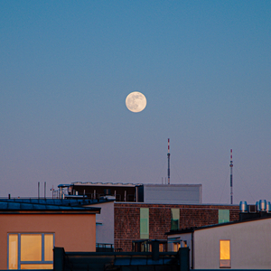 If You Were Still Here