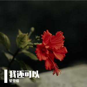 我还可以-星尘络