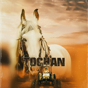 Tochan