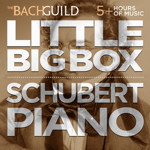 Impromptus, D. 899, Op. 90, No. 3 in G-flat Major:iii. Andante